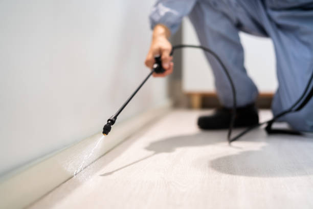 Licensed Termite Control service in Franklin Farm, VA - Nex Pest Control