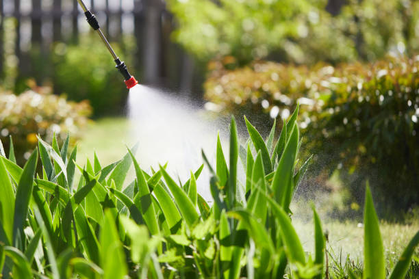 24/7 Emergency Termite Control experts in Franklin Farm, VA